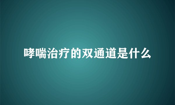 哮喘治疗的双通道是什么