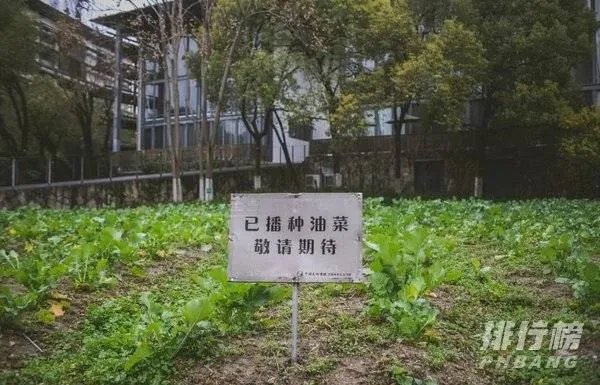 中国最美的十所大学排名_全国最美大学排名最新