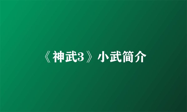 《神武3》小武简介