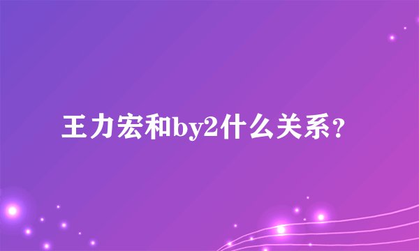 王力宏和by2什么关系？