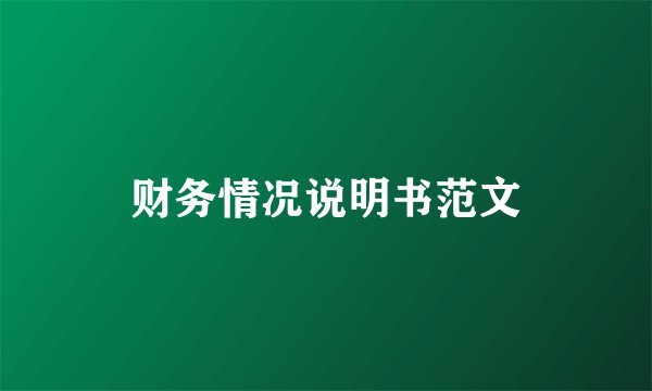 财务情况说明书范文