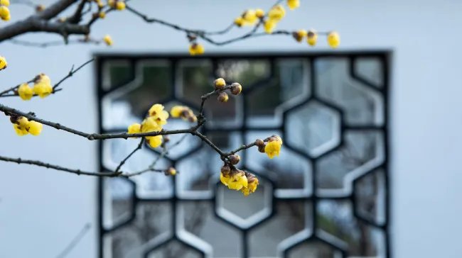 立春时间2021几点几分打春 今年立春什么时候具体时间