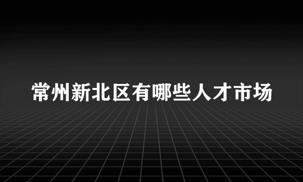常州新北区有哪些人才市场