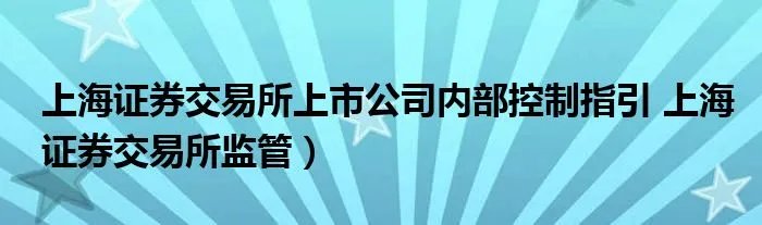 上海证券交易所上市公司内部控制指引 上海证券交易所监管）