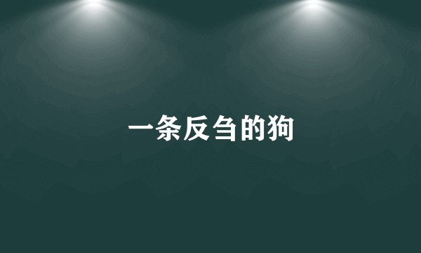 一条反刍的狗