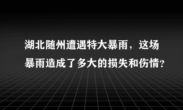 湖北随州遭遇特大暴雨，这场暴雨造成了多大的损失和伤情？