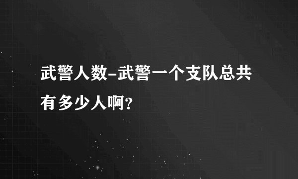 武警人数-武警一个支队总共有多少人啊？