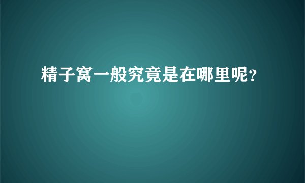 精子窝一般究竟是在哪里呢？