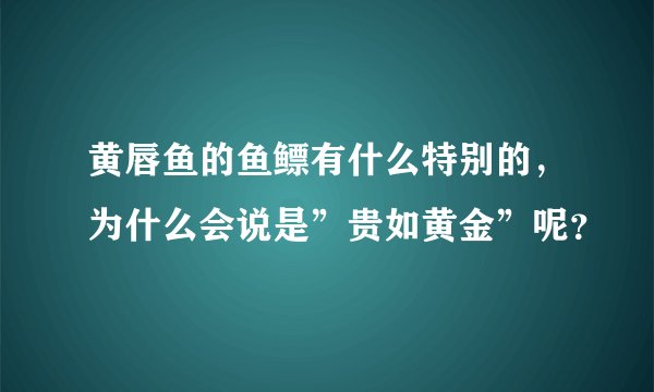 黄唇鱼的鱼鳔有什么特别的，为什么会说是”贵如黄金”呢？