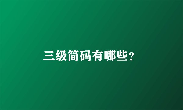 三级简码有哪些？