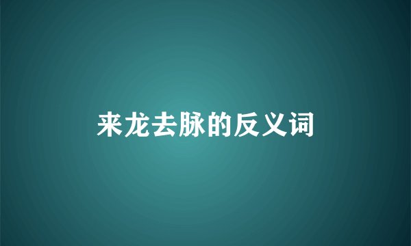 来龙去脉的反义词