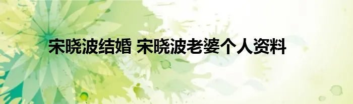 宋晓波结婚 宋晓波老婆个人资料