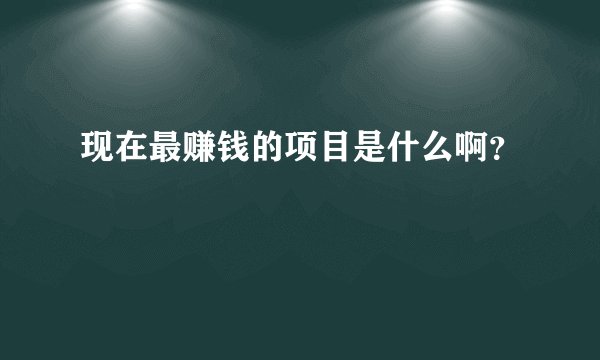 现在最赚钱的项目是什么啊？