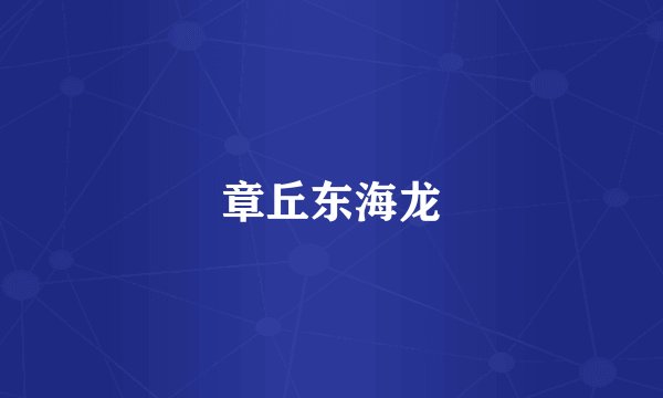 章丘东海龙