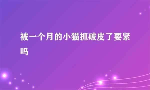 被一个月的小猫抓破皮了要紧吗