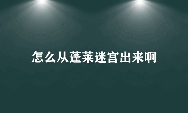 怎么从蓬莱迷宫出来啊