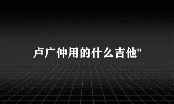 卢广仲用的什么吉他
