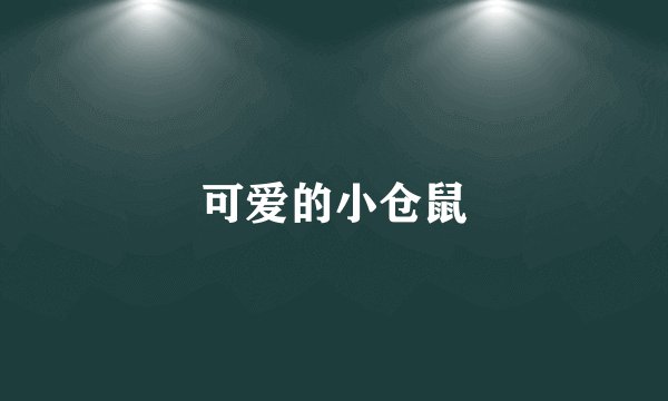 可爱的小仓鼠