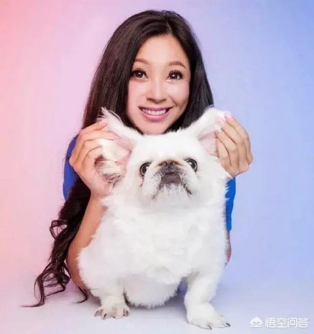 娱乐圈有哪些本来就长得很好看却还整容的明星?