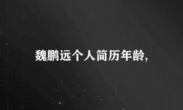 魏鹏远个人简历年龄,