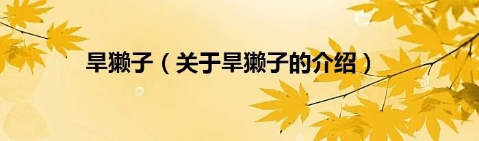 旱獭子（关于旱獭子的介绍）
