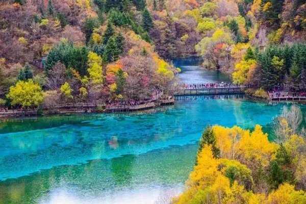 绵阳通报4天参团游未见九寨沟大门,涉事酒店最终得到了什么处罚?