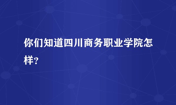 你们知道四川商务职业学院怎样？