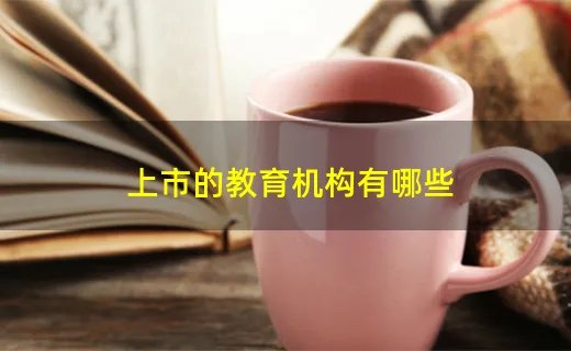 上市的教育机构有哪些