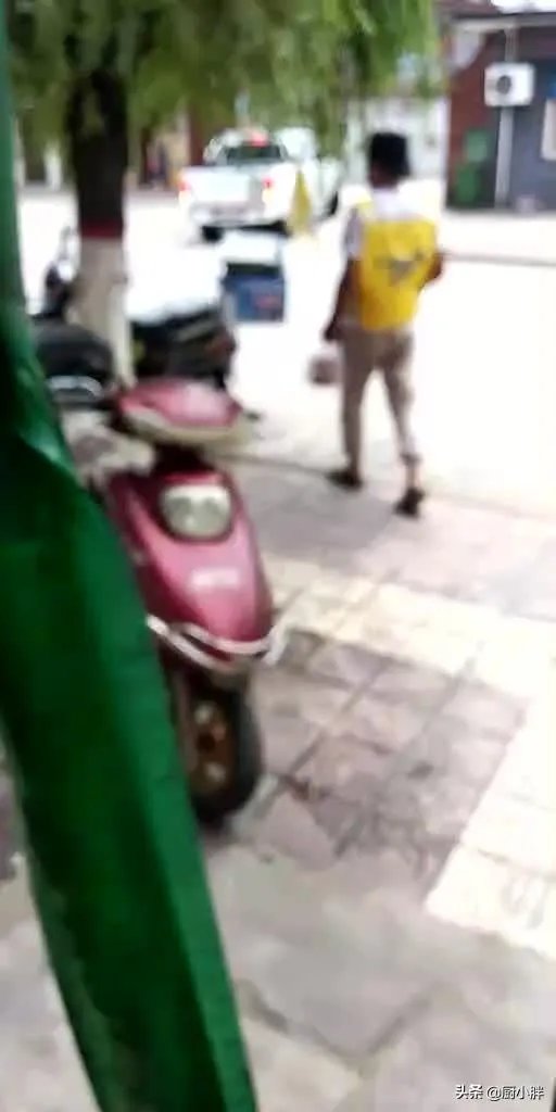 绿佳跟绿驹