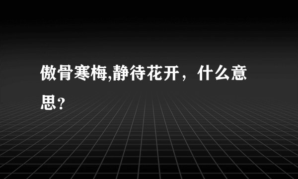 傲骨寒梅,静待花开，什么意思？