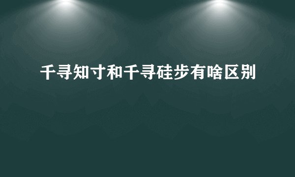 千寻知寸和千寻硅步有啥区别