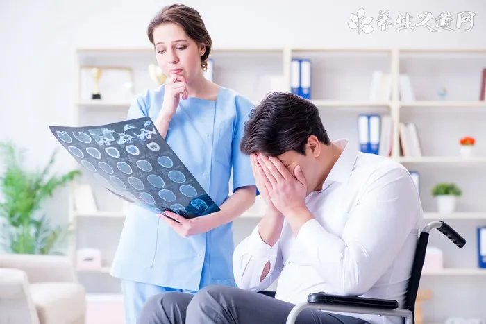 撸猫是什么意思