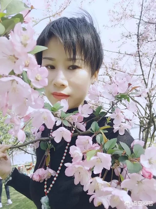 为何有些人喜欢去澳洲旅游?