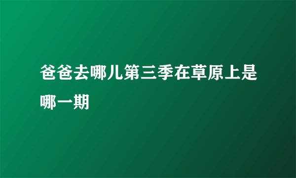 爸爸去哪儿第三季在草原上是哪一期