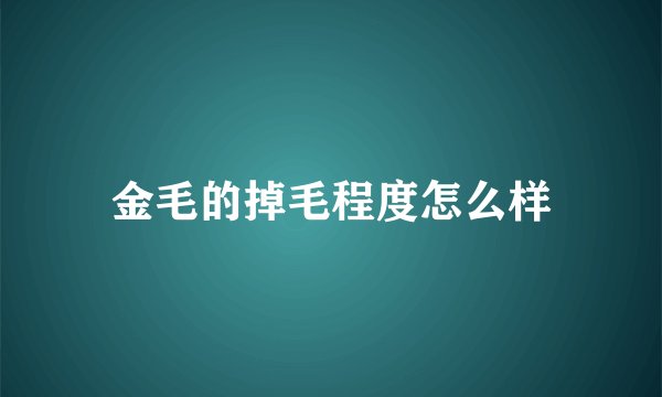 金毛的掉毛程度怎么样