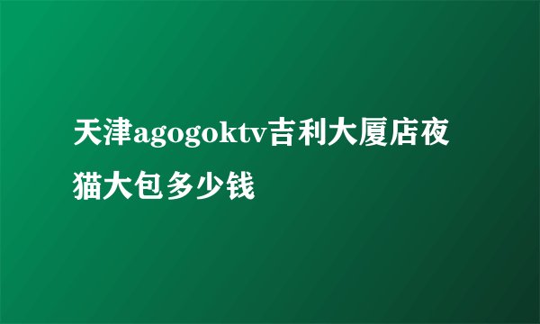 天津agogoktv吉利大厦店夜猫大包多少钱