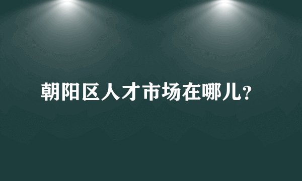 朝阳区人才市场在哪儿？