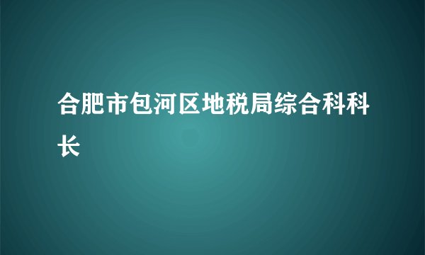 合肥市包河区地税局综合科科长