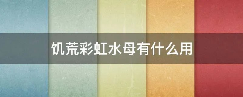 饥荒彩虹水母有什么用