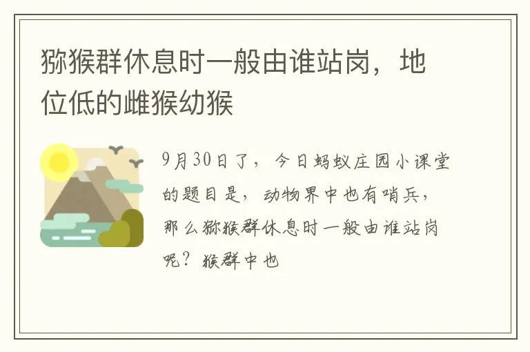 猕猴群休息时一般由谁站岗，地位低的雌猴幼猴