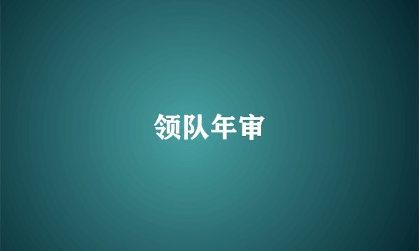 领队年审