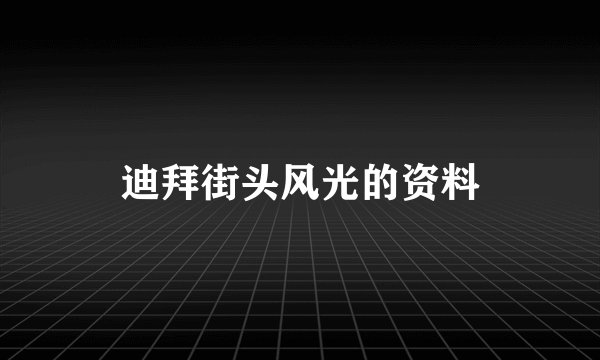 迪拜街头风光的资料