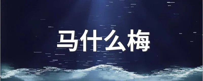 马什么梅 马什么梅是什么梗