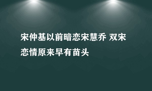 宋仲基以前暗恋宋慧乔 双宋恋情原来早有苗头