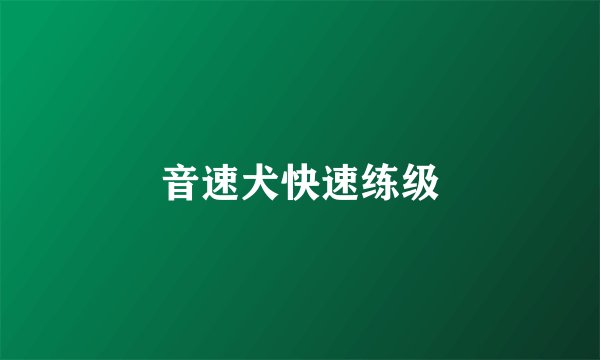 音速犬快速练级