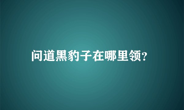 问道黑豹子在哪里领？