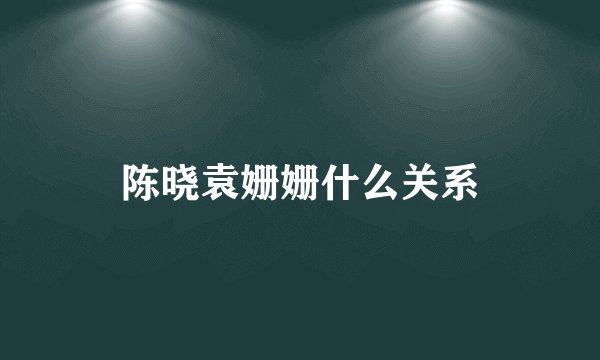 陈晓袁姗姗什么关系