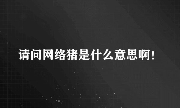 请问网络猪是什么意思啊！