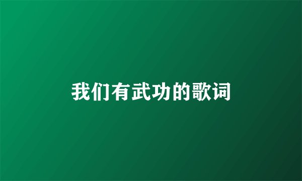 我们有武功的歌词