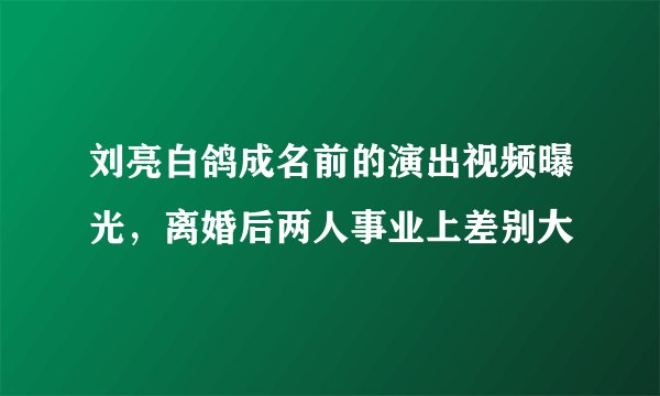 刘亮白鸽成名前的演出视频曝光，离婚后两人事业上差别大